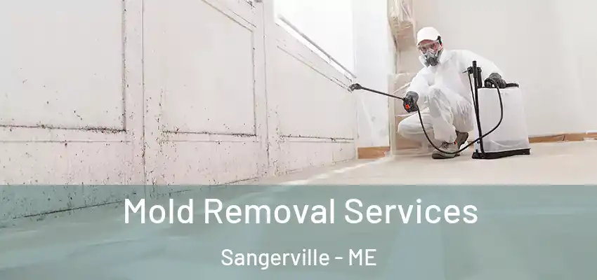  Mold Removal Services Sangerville - ME