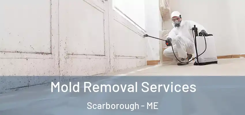  Mold Removal Services Scarborough - ME