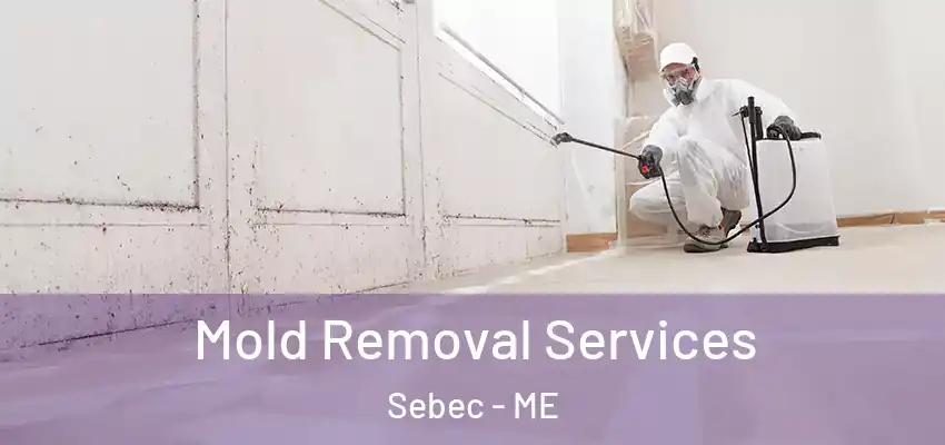  Mold Removal Services Sebec - ME