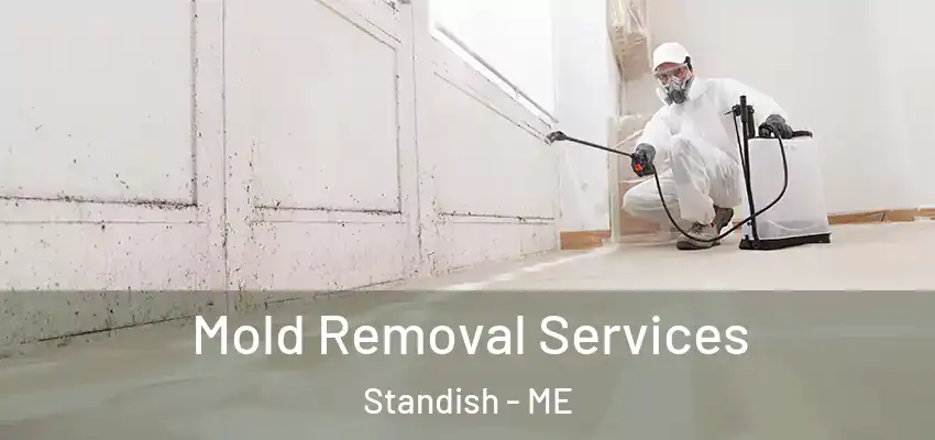  Mold Removal Services Standish - ME