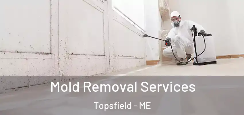  Mold Removal Services Topsfield - ME