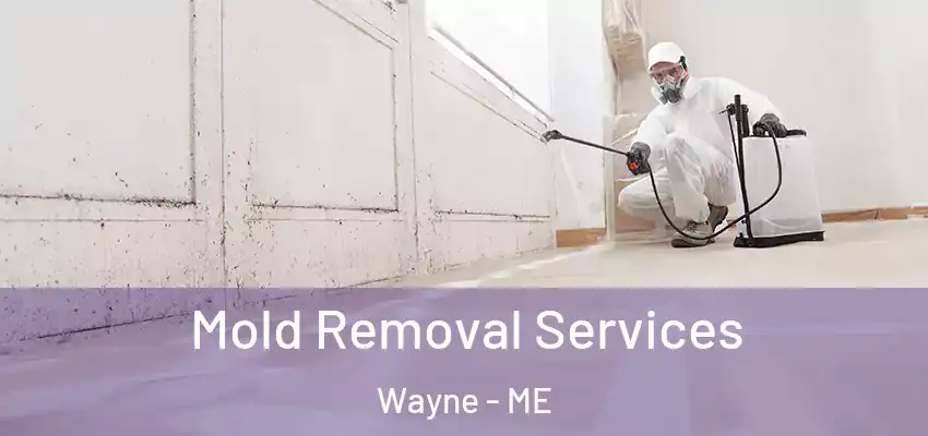  Mold Removal Services Wayne - ME