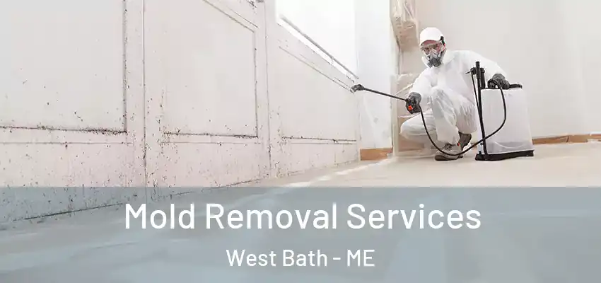  Mold Removal Services West Bath - ME
