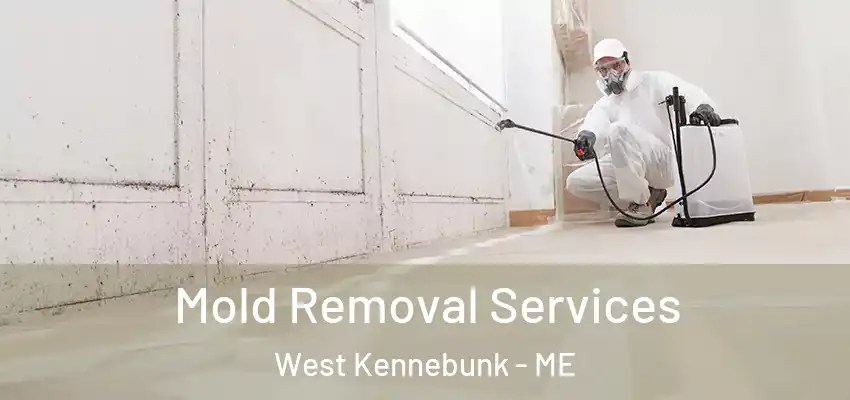  Mold Removal Services West Kennebunk - ME