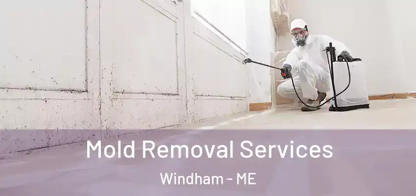  Mold Removal Services Windham - ME