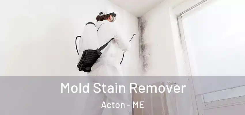  Mold Stain Remover Acton - ME