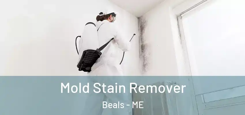  Mold Stain Remover Beals - ME