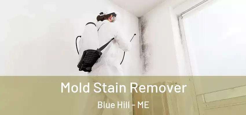  Mold Stain Remover Blue Hill - ME