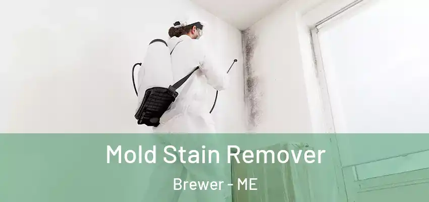  Mold Stain Remover Brewer - ME