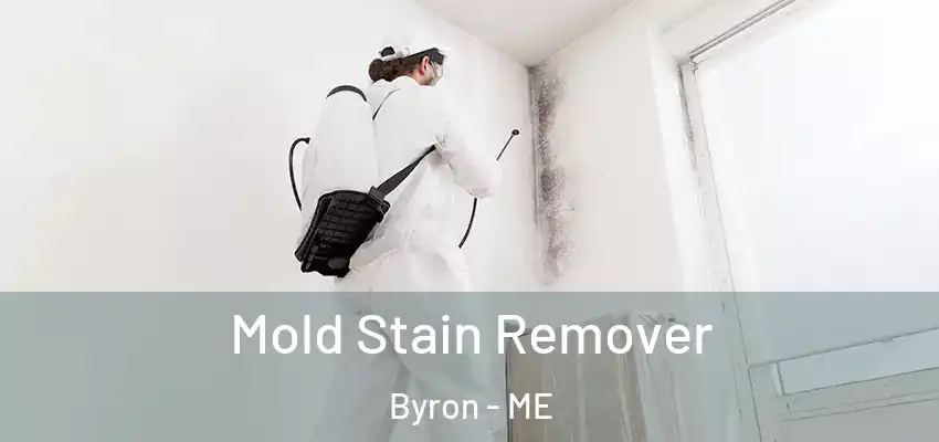  Mold Stain Remover Byron - ME