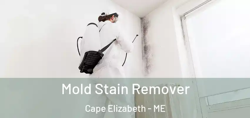  Mold Stain Remover Cape Elizabeth - ME
