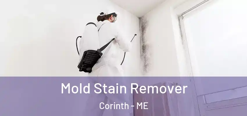  Mold Stain Remover Corinth - ME