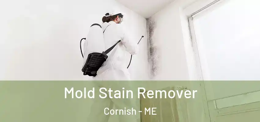  Mold Stain Remover Cornish - ME