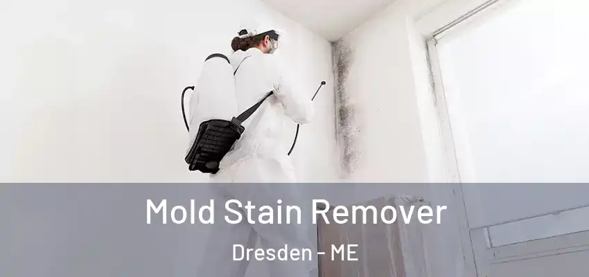  Mold Stain Remover Dresden - ME