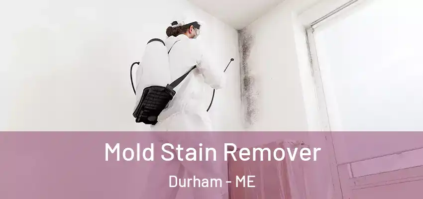  Mold Stain Remover Durham - ME