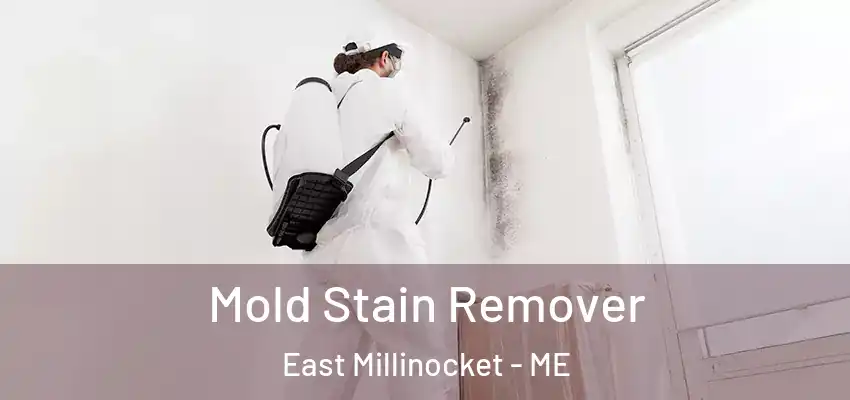  Mold Stain Remover East Millinocket - ME