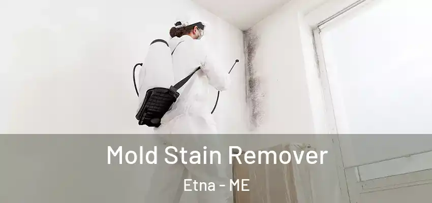  Mold Stain Remover Etna - ME