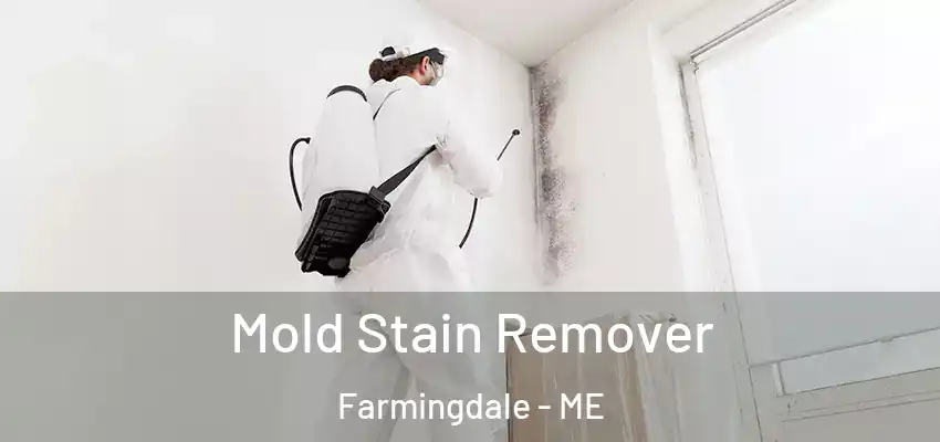  Mold Stain Remover Farmingdale - ME