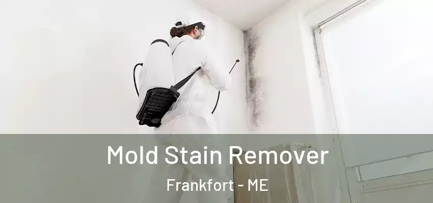  Mold Stain Remover Frankfort - ME