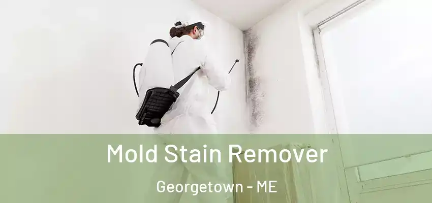  Mold Stain Remover Georgetown - ME