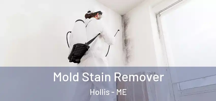  Mold Stain Remover Hollis - ME