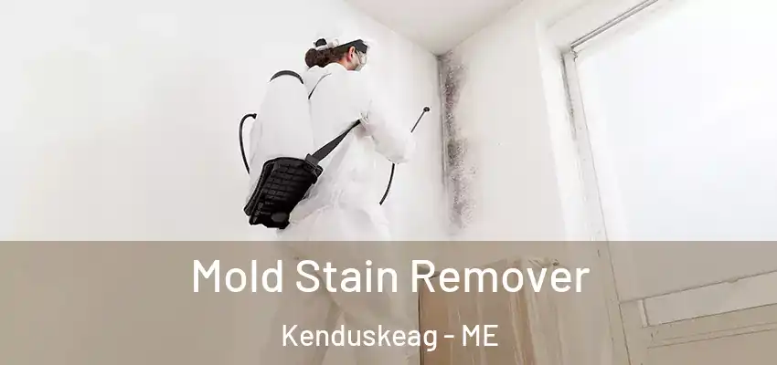  Mold Stain Remover Kenduskeag - ME