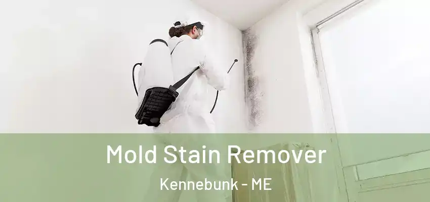  Mold Stain Remover Kennebunk - ME