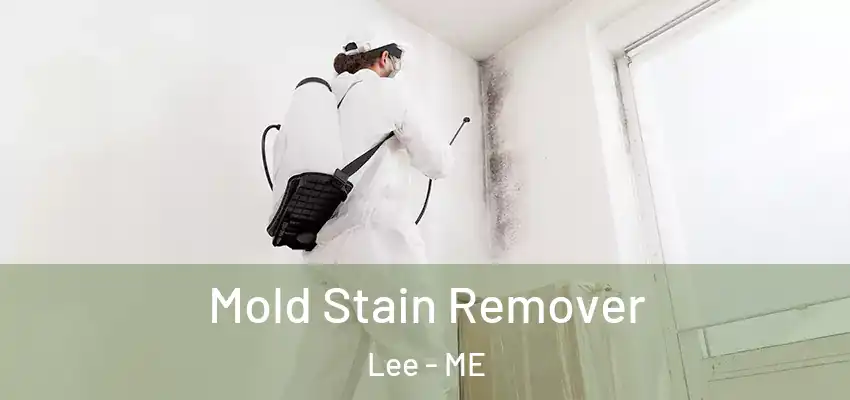  Mold Stain Remover Lee - ME