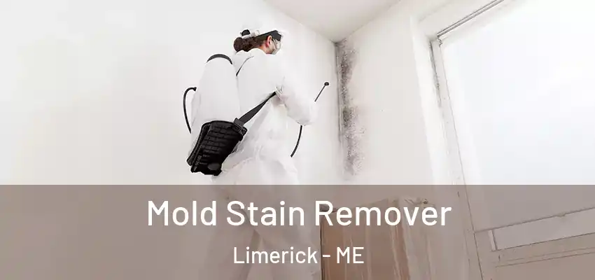  Mold Stain Remover Limerick - ME