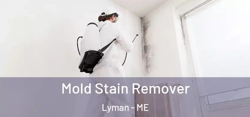  Mold Stain Remover Lyman - ME