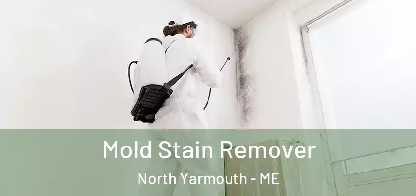 Mold Stain Remover North Yarmouth - ME