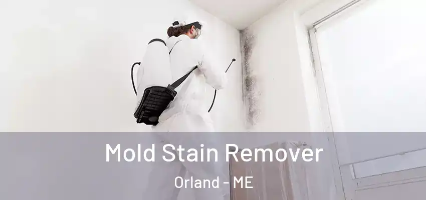  Mold Stain Remover Orland - ME