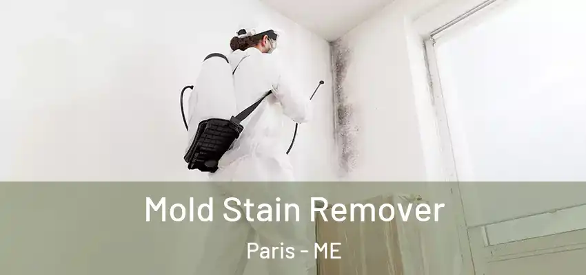  Mold Stain Remover Paris - ME