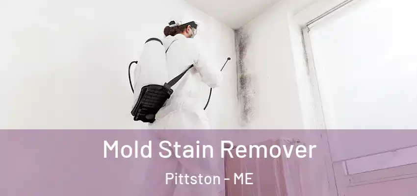  Mold Stain Remover Pittston - ME