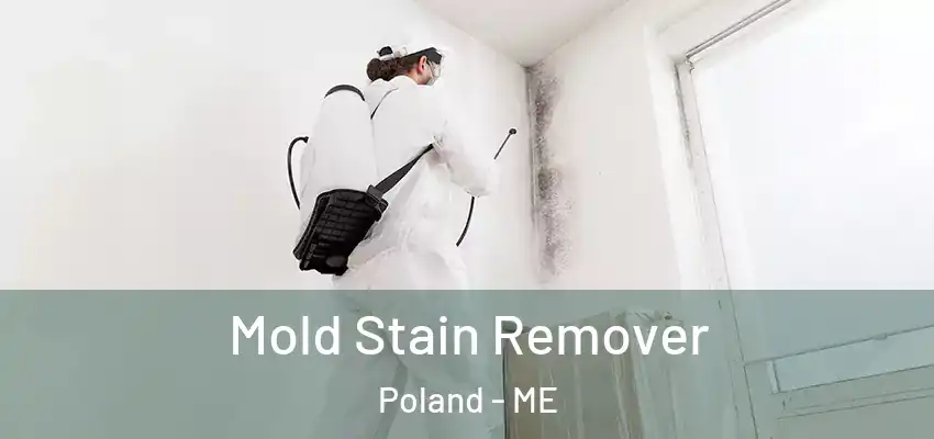  Mold Stain Remover Poland - ME