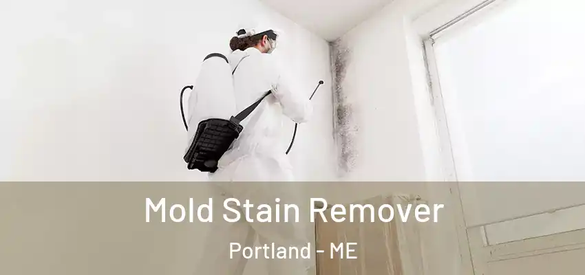  Mold Stain Remover Portland - ME