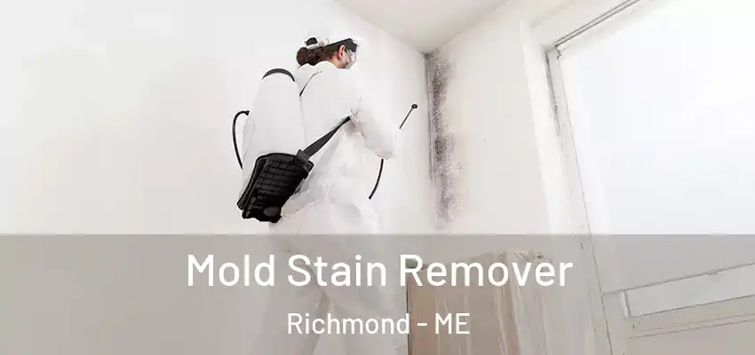  Mold Stain Remover Richmond - ME