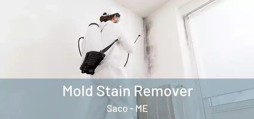  Mold Stain Remover Saco - ME