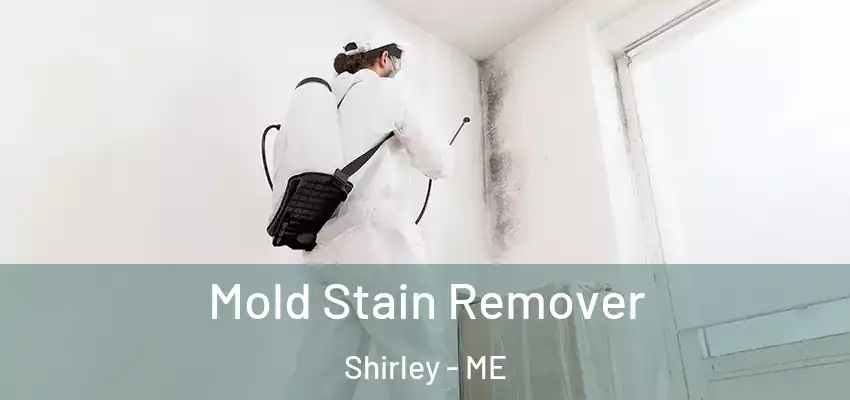  Mold Stain Remover Shirley - ME