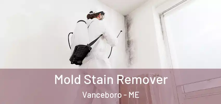  Mold Stain Remover Vanceboro - ME