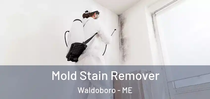  Mold Stain Remover Waldoboro - ME