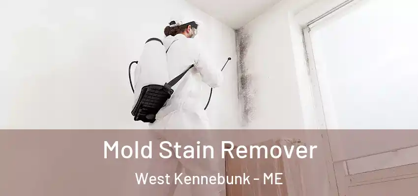  Mold Stain Remover West Kennebunk - ME