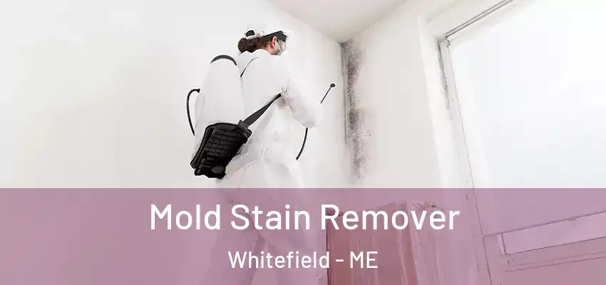  Mold Stain Remover Whitefield - ME