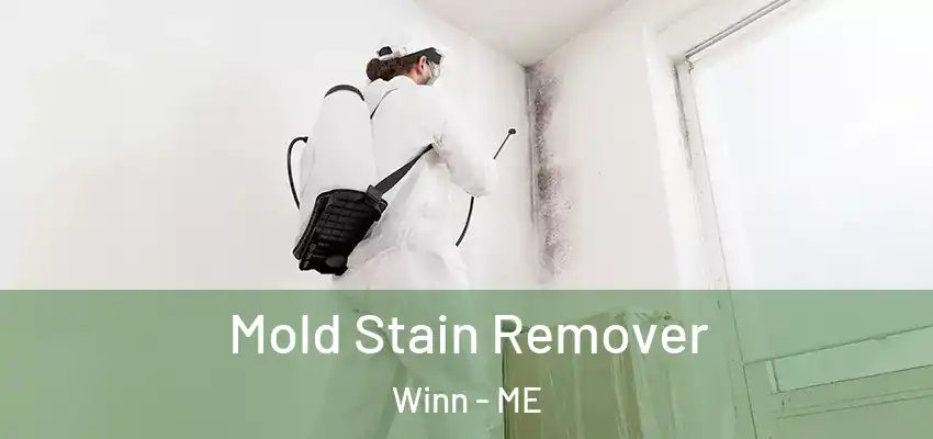  Mold Stain Remover Winn - ME