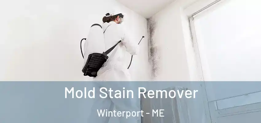  Mold Stain Remover Winterport - ME