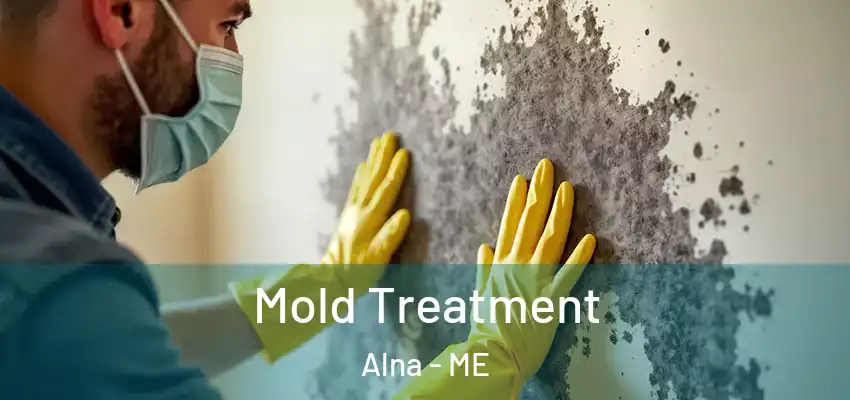 Mold Treatment Alna - ME