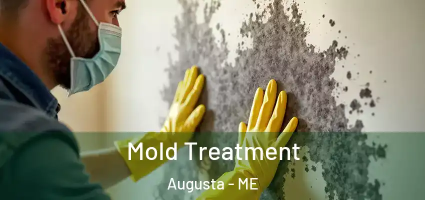  Mold Treatment Augusta - ME