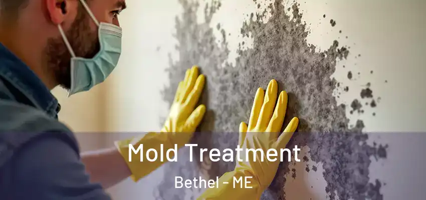  Mold Treatment Bethel - ME