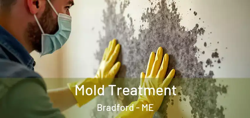  Mold Treatment Bradford - ME