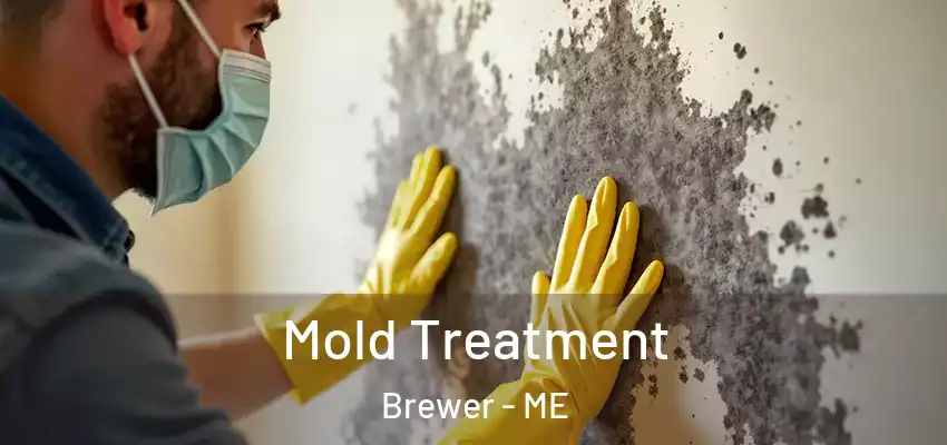  Mold Treatment Brewer - ME